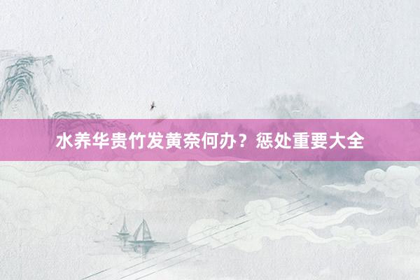 水养华贵竹发黄奈何办？惩处重要大全